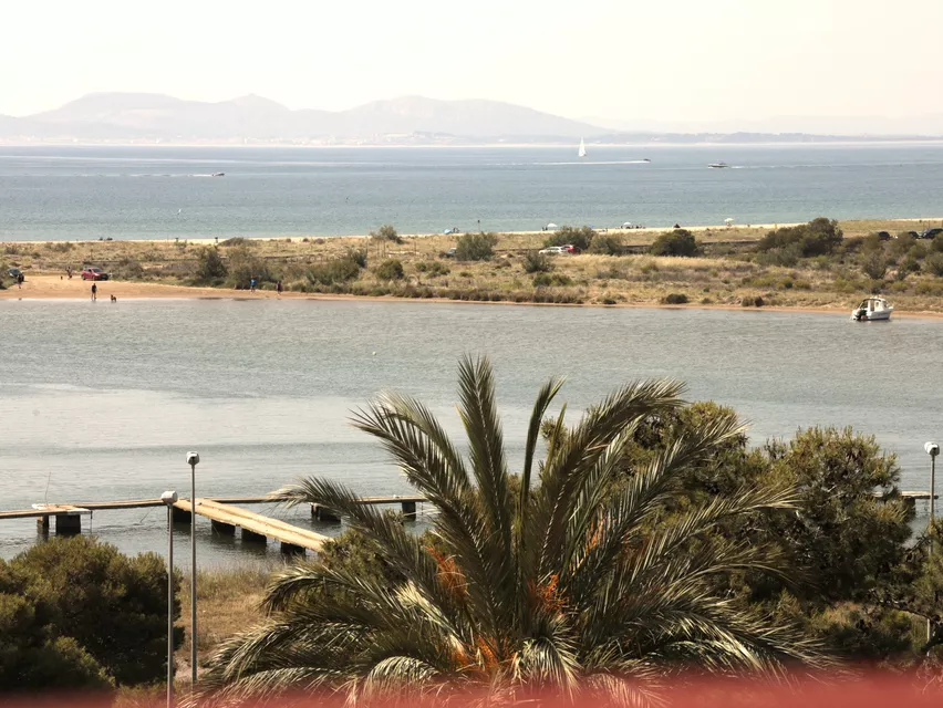 En Venda Estudi, ubicat a Illa de Roses, Santa Margarita, amb una vista molt àmplia