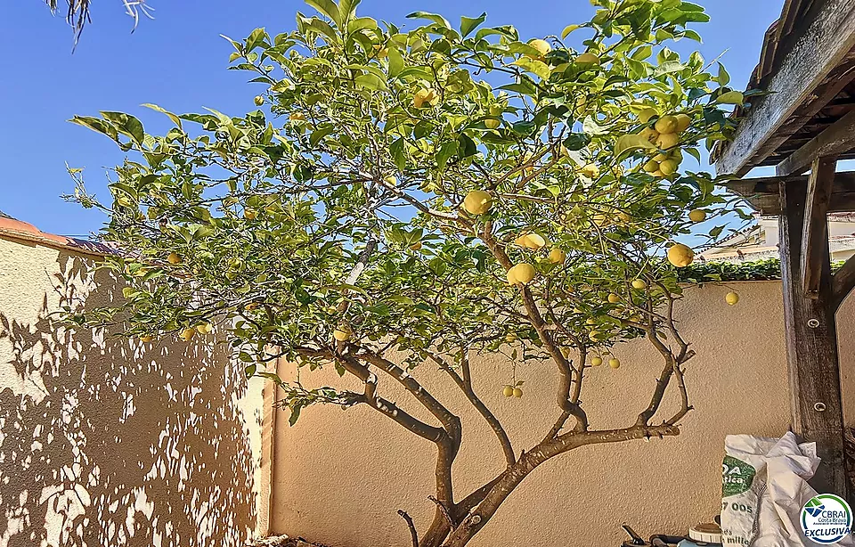 MAGNÍFICA XALET DE 4 HABITACIONS ENVOLTAT DE NATURA