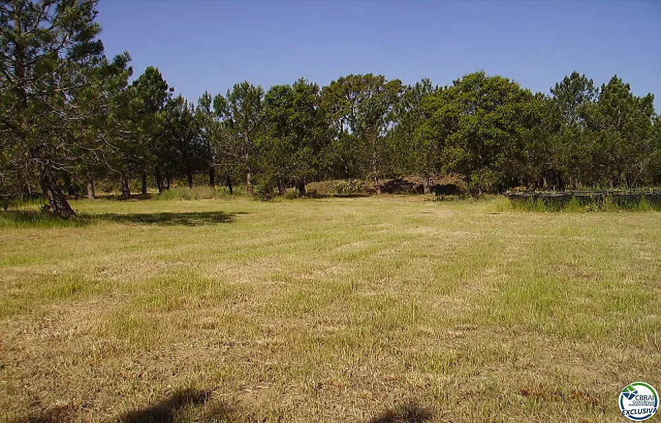 Rustic land of 18,000 m in Garriguella