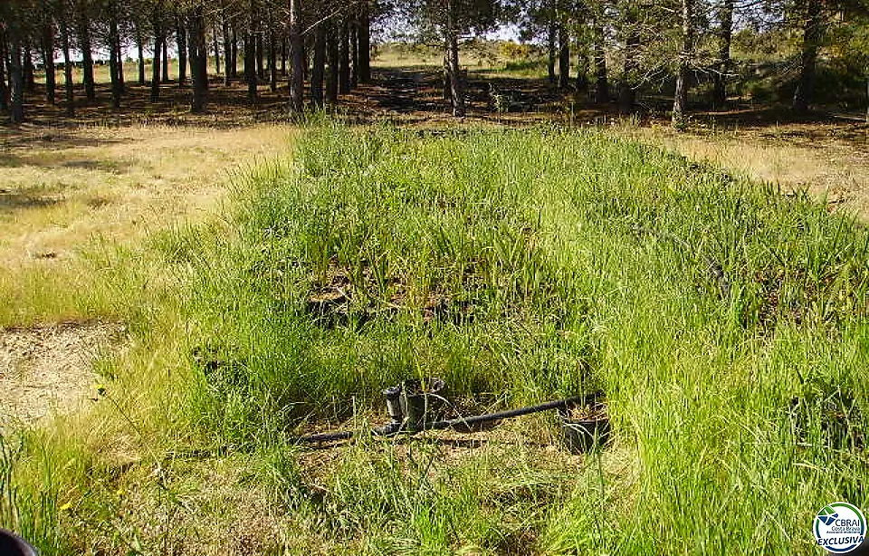 Rustic land of 18,000 m in Garriguella