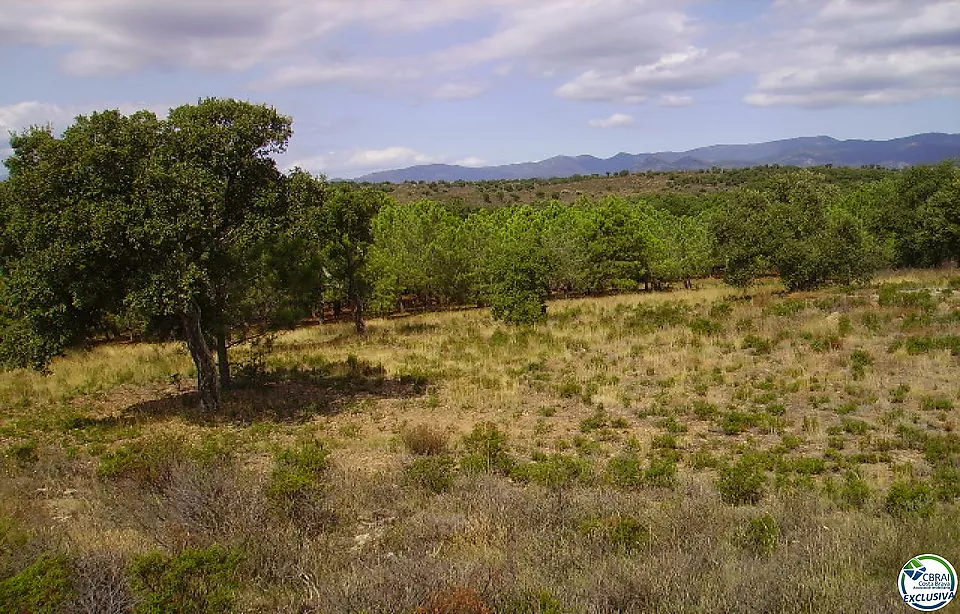 Rustic land of 18,000 m in Garriguella