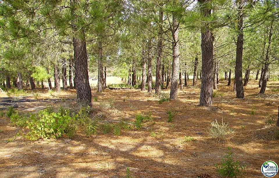 Rustic land of 18,000 m in Garriguella