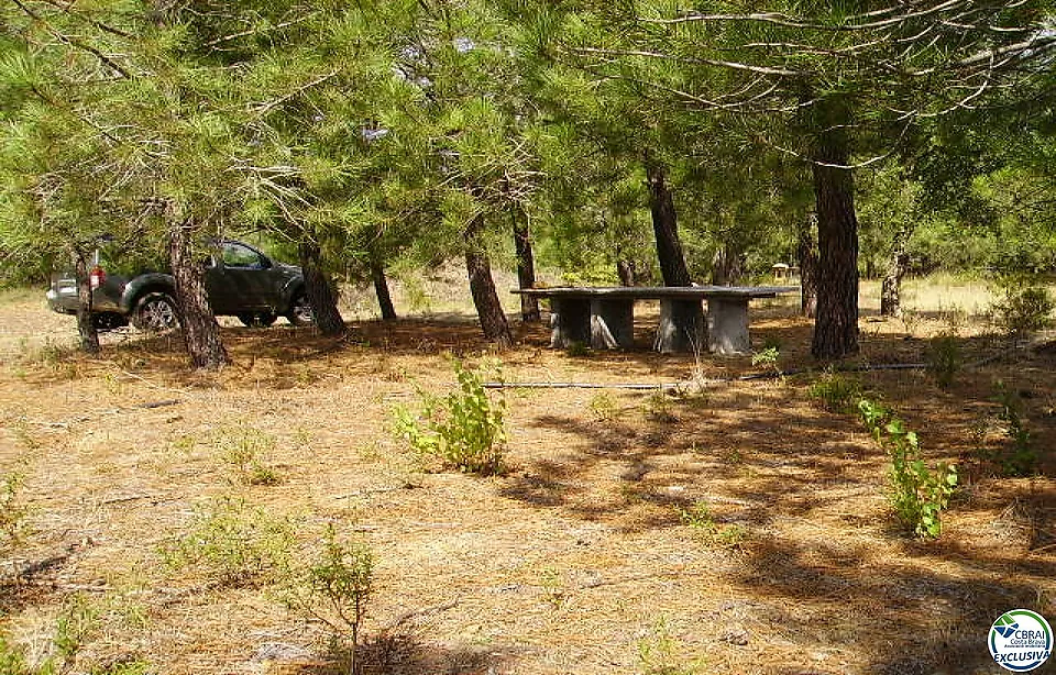 Rustic land of 18,000 m in Garriguella