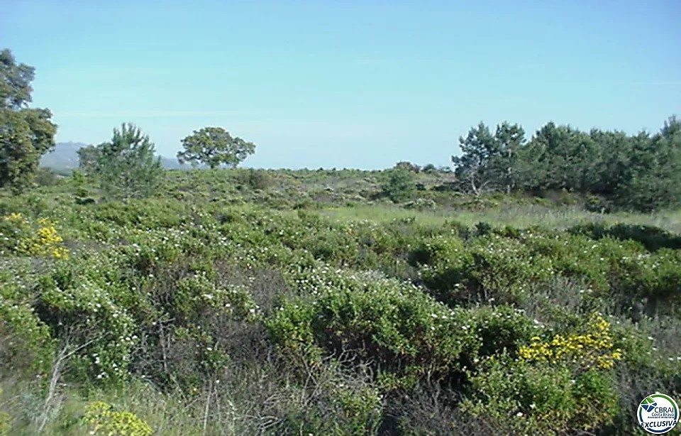 Rustic land of 18,000 m in Garriguella