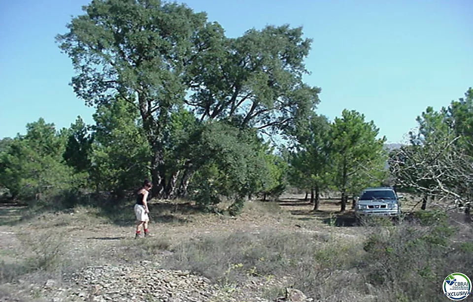 Rustic land of 18,000 m in Garriguella