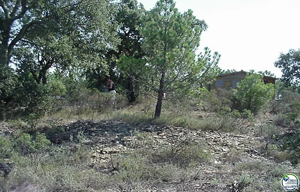 Rustic land of 18,000 m in Garriguella