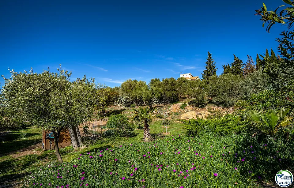 Magnifique villa rénovée entourée par la nature