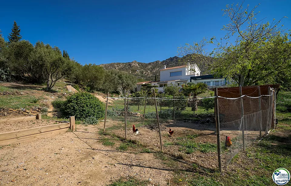 Magnífica vila reformada envoltada de natura