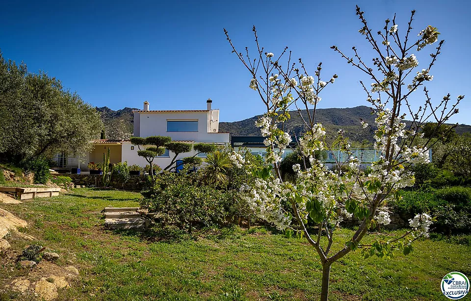 Magnificent renovated villa surrounded by nature